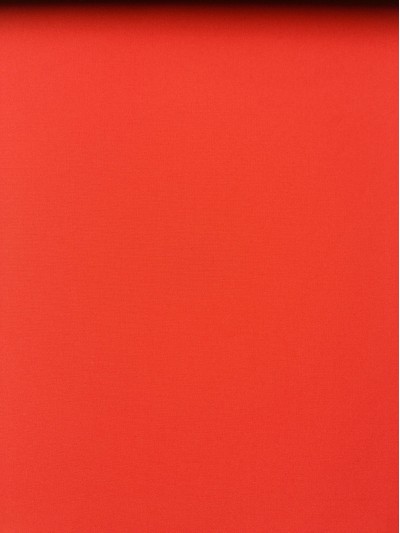 JS ZOYG 消光春亞紡 正面照